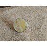 Coin ring with honey-white amber | AmberWave