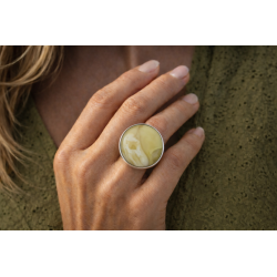 Anillo estilo moneda con ámbar miel y blanco |AmberWave