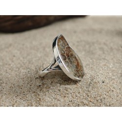 Unique ring with ammonite. | AmberWave