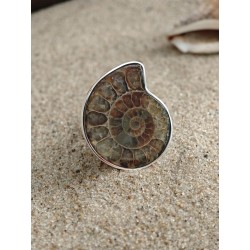 Unique ring with ammonite. | AmberWave