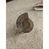 Unique ring with ammonite. | AmberWave