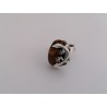 Ring with lizard and cognac-colored amber | AmberWave